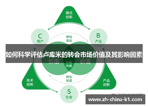 如何科学评估卢库米的转会市场价值及其影响因素