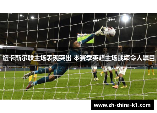 纽卡斯尔联主场表现突出 本赛季英超主场战绩令人瞩目