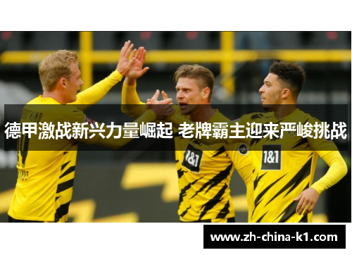 德甲激战新兴力量崛起 老牌霸主迎来严峻挑战 德甲激战新兴力量崛起 老牌霸主迎来严峻挑战