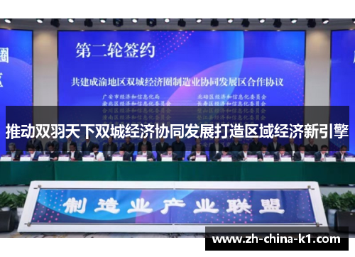 推动双羽天下双城经济协同发展打造区域经济新引擎 推动双羽天下双城经济协同发展打造区域经济新引擎