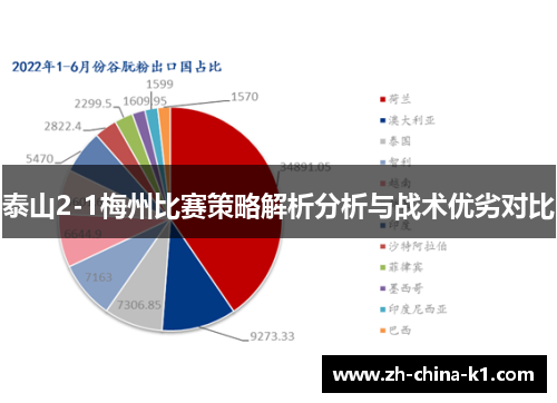 泰山2-1梅州比赛策略解析分析与战术优劣对比