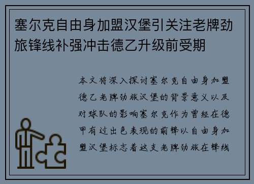 塞尔克自由身加盟汉堡引关注老牌劲旅锋线补强冲击德乙升级前受期 塞尔克自由身加盟汉堡引关注老牌劲旅锋线补强冲击德乙升级前受期