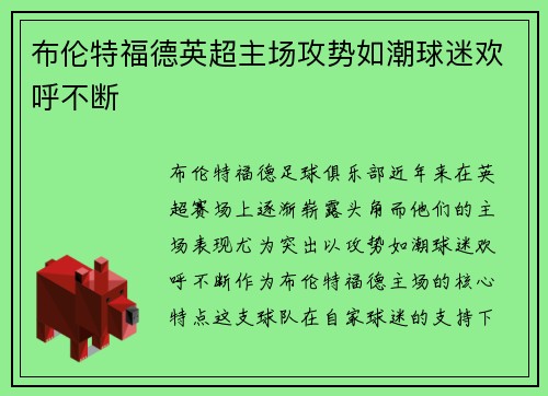 布伦特福德英超主场攻势如潮球迷欢呼不断